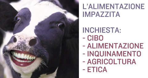 L'alimentazione etica per salvare il pianeta. Agricoltura e Clima.