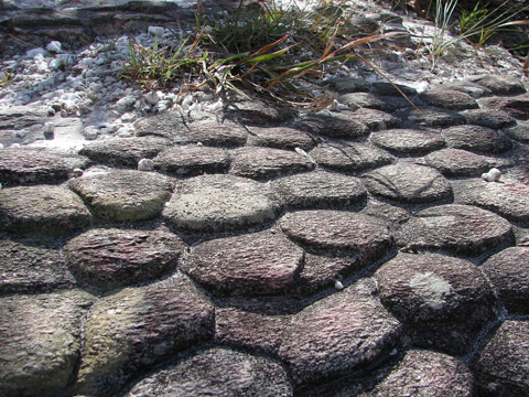Verso la Vale do Capao, alla fie del parco della Chapada Diamantina.