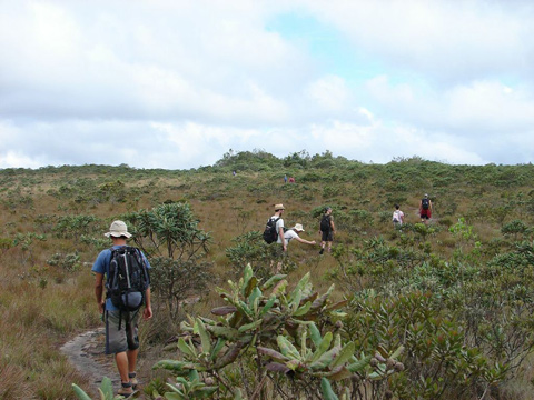 Verso la Vale do Capao, alla fie del parco della Chapada Diamantina.