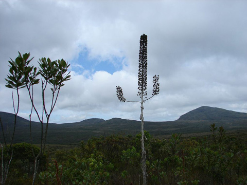 Verso la Vale do Capao, alla fie del parco della Chapada Diamantina.