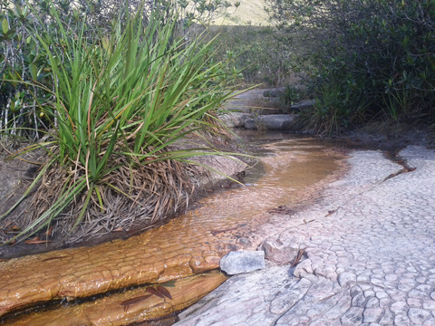 Il giardino ZEN nella chapada diamantina vicino a valle do Capao.