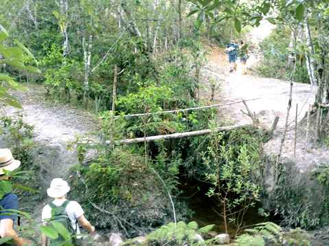 Il ponte traballante in Vale do Pati per raggiungere la casa dei nativi.