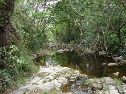 Il fiume nella Vale do Pati.
