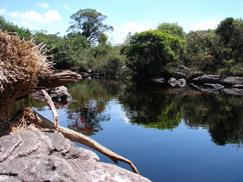 Rio Preto, il fiume nero nella valle do Pati, in Chapada Diamantina.