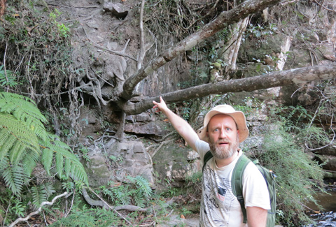 Sandi preoccupato per la salita sull'albero.