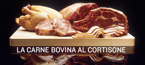 La carne bovina fa male e ha il cortisone dentro.