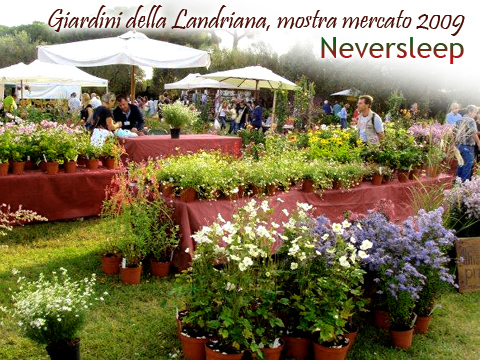 Mostra mercato Giardini della Landriana.