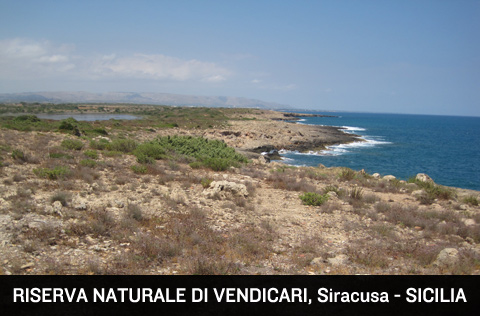 Riserva di Vendicari, Siracusa, Sicilia.